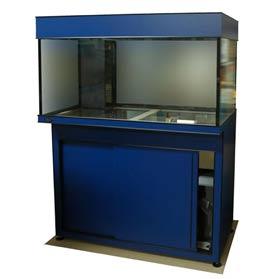 MicroReef