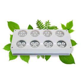 LED Efficiency