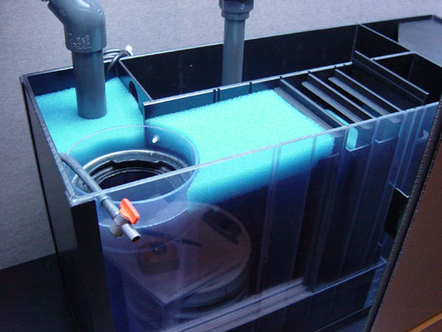 Sump View 2 Sump View 2