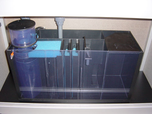 View on Sump View on Sump