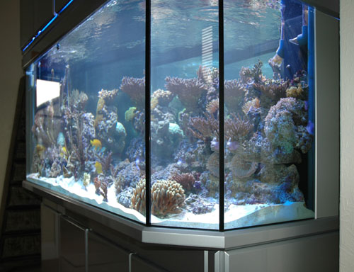 Finished Aquarium Finished Aquarium