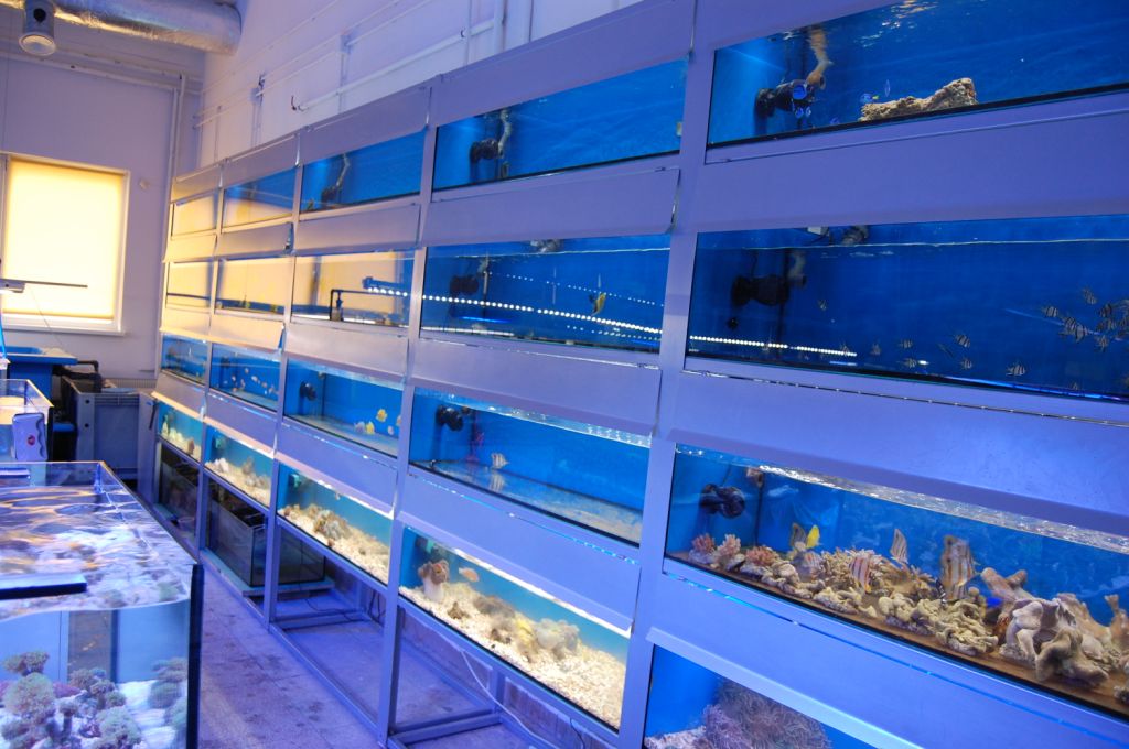 TAQUA IMAGE 2 DD The Aquarium Solution