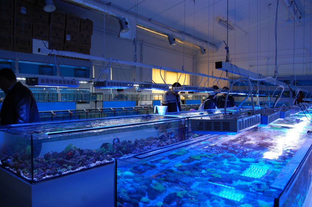 TAQUA IMAGE 7 DD The Aquarium Solution