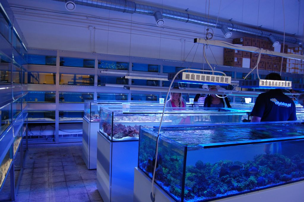 TAQUA IMAGE 13 DD The Aquarium Solution