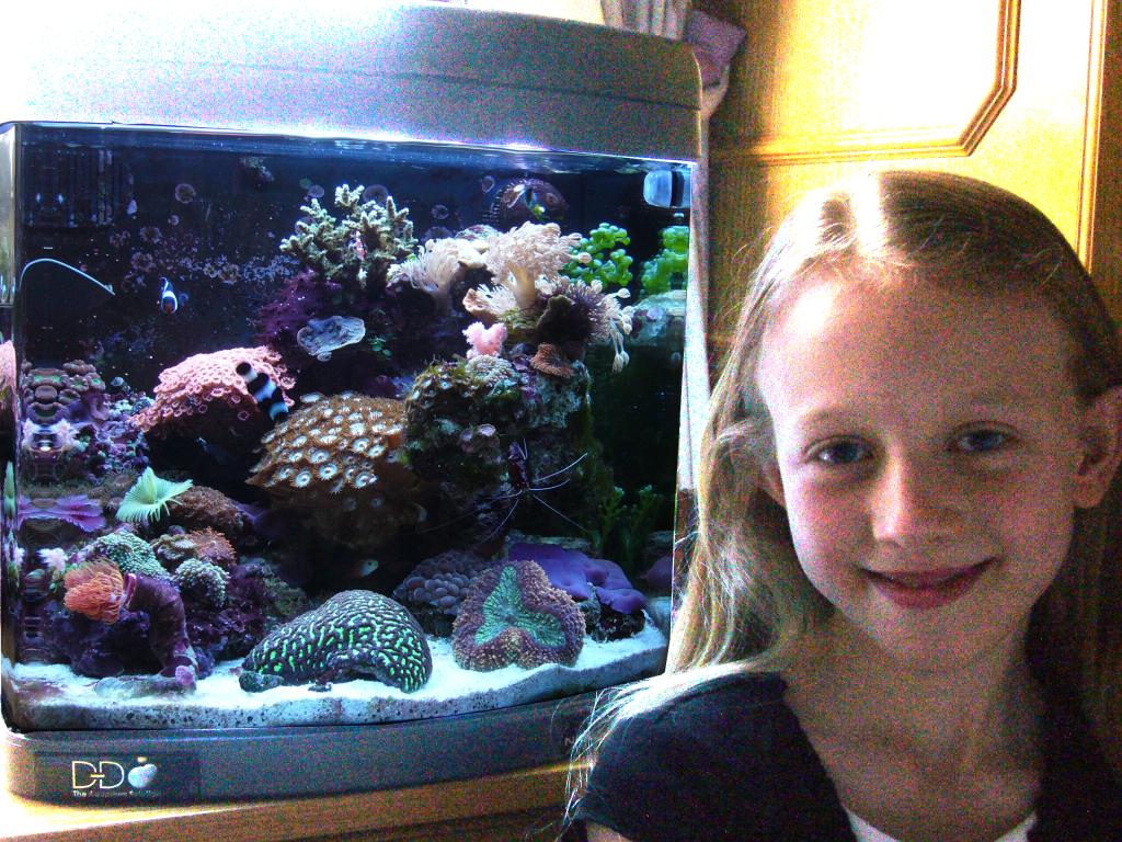 Alex won Ultimate Reef tank of the month with this aquarium in Feb 08