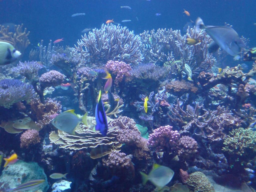 Atlantis Aquarium in Riverhead New York