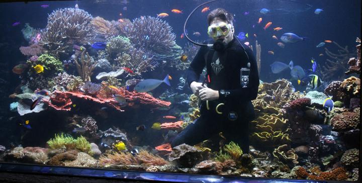 Joe Yaiullo enjoying music whilst he works thanks to his new waterproof iPod cover. This photo is taken in his 20,000 gallon reef tank at the Atlantis Aquarium (Riverhead New York).
