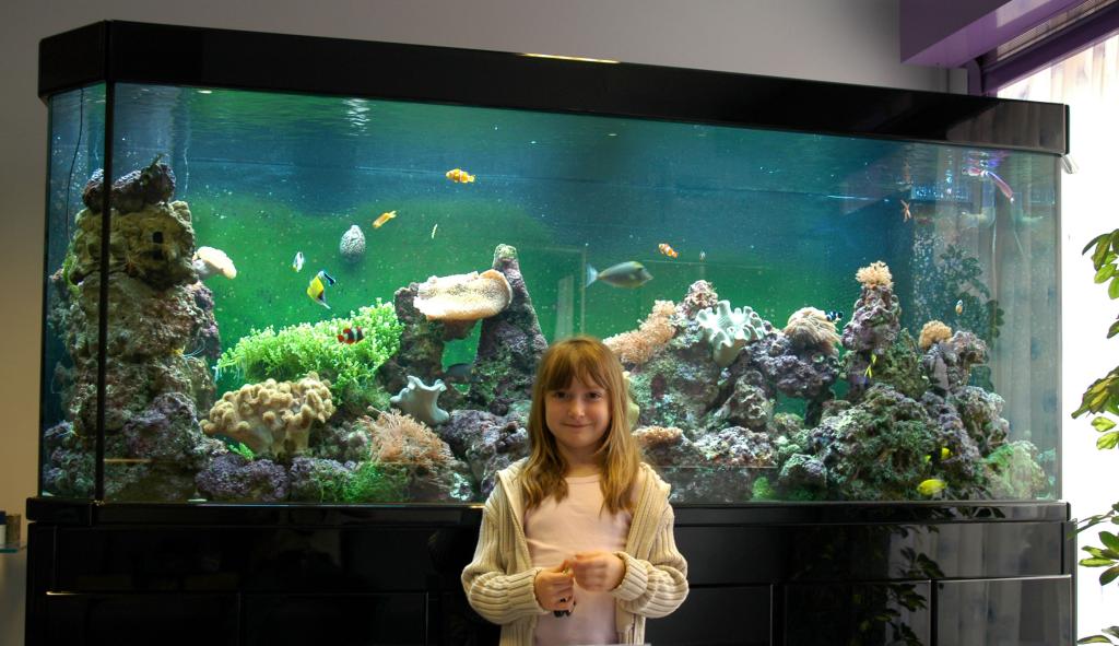 Early pictures of Alex's New Deltec Aquarium in Sheffield.