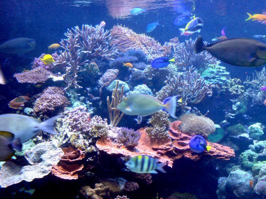 Atlantis Aquarium in Riverhead New York