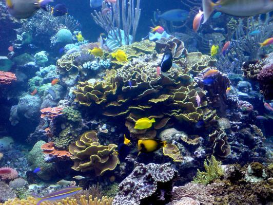 Atlantis Aquarium in Riverhead New York