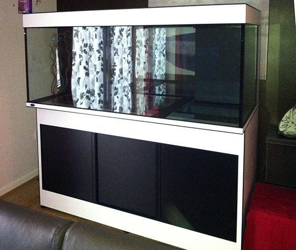 The high quality steel framed Deltec aquarium moved into the house\