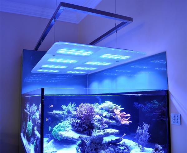  \Aquarium owners: Dana &amp; Karla\Tank Spec: Approximately 1000L\Tank dims: 1682 x 1018 x 600  high   19mm Low Iron glass, external overflow\Running:\Deltec 3070s  skimmer\Abyss 200:  return\D&amp;D  Salt\Lights: 8 x SOL blue, running on  controller\Cabinet: clad in coloured  glass\Water Change 10% weekly with  D&amp;D through automated water change system\Aquarium built by Vincent at AQUARIUM CONNECTIONS\ 