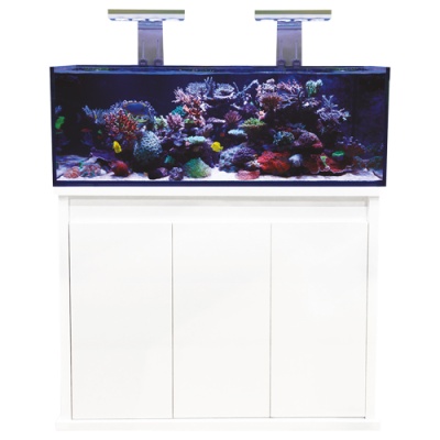 d d reef pro
