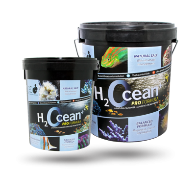 h2ocean pro reef salt
