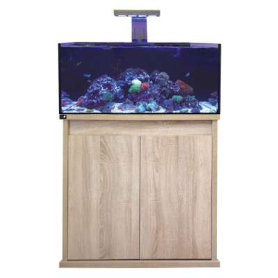 d d reef pro