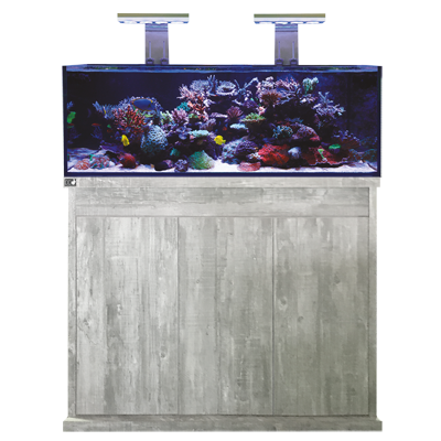 d d reef pro