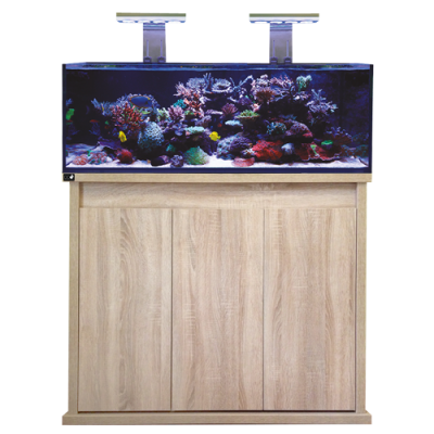 D-D Reef Pro 1200s Oak