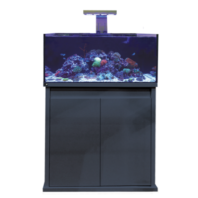 REEF-PRO 900