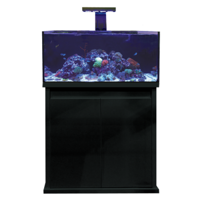 REEF-PRO 900