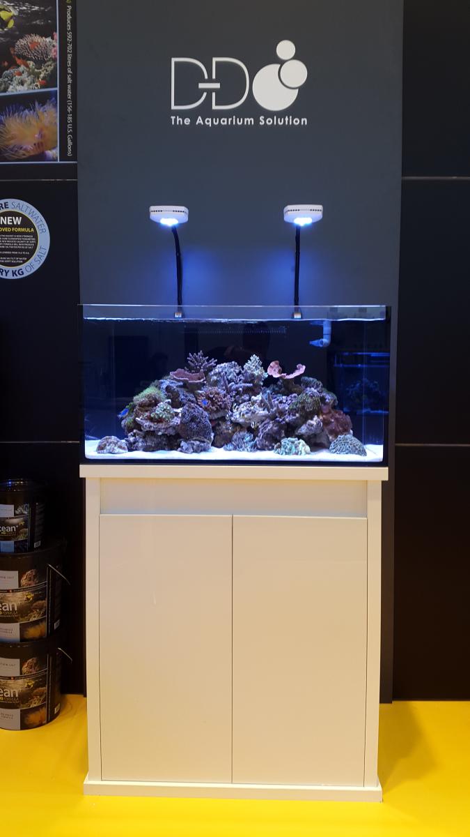 REEF-PRO 900