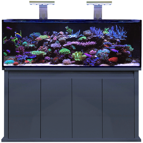 Reef Pro 1500 Anthracite