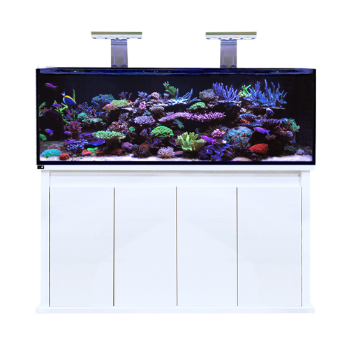 Reef Pro 1500S White